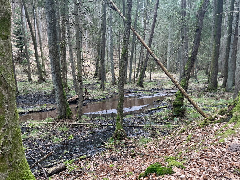 23-02-26 13-37-30 4358